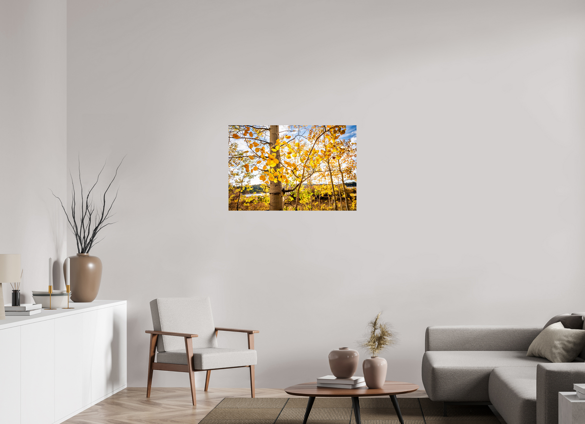 36 x 24″, Photo Print On Fuji Crystal DP II Golden Canopy