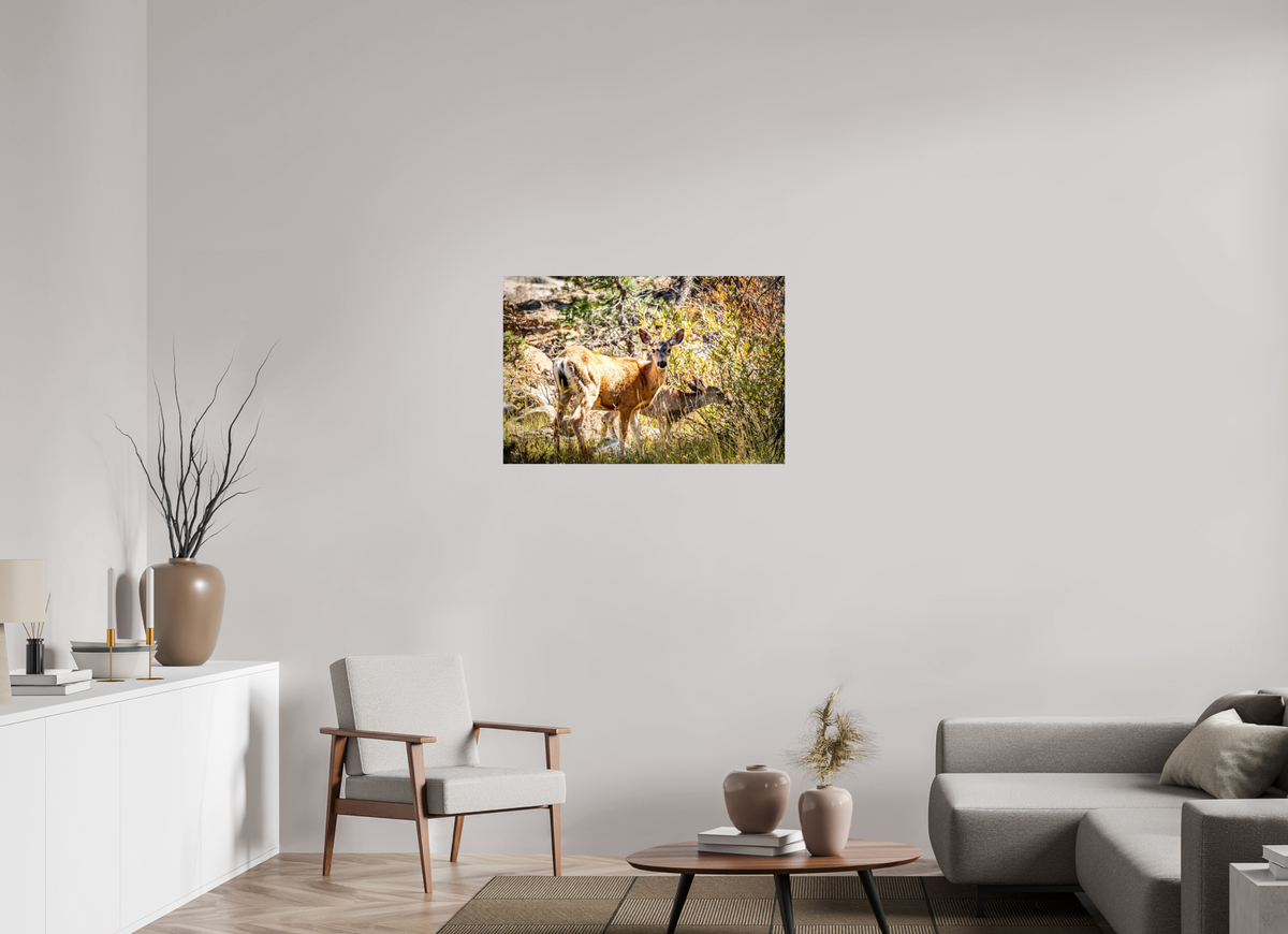 36 x 24″, Photo Print On Fuji Crystal DP II Quiet Companions