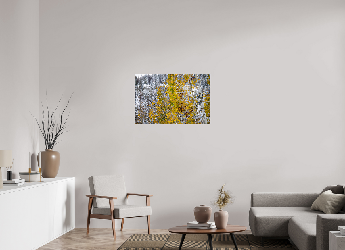 36 x 24″, Photo Print On Fuji Crystal DP II Snow on Gold