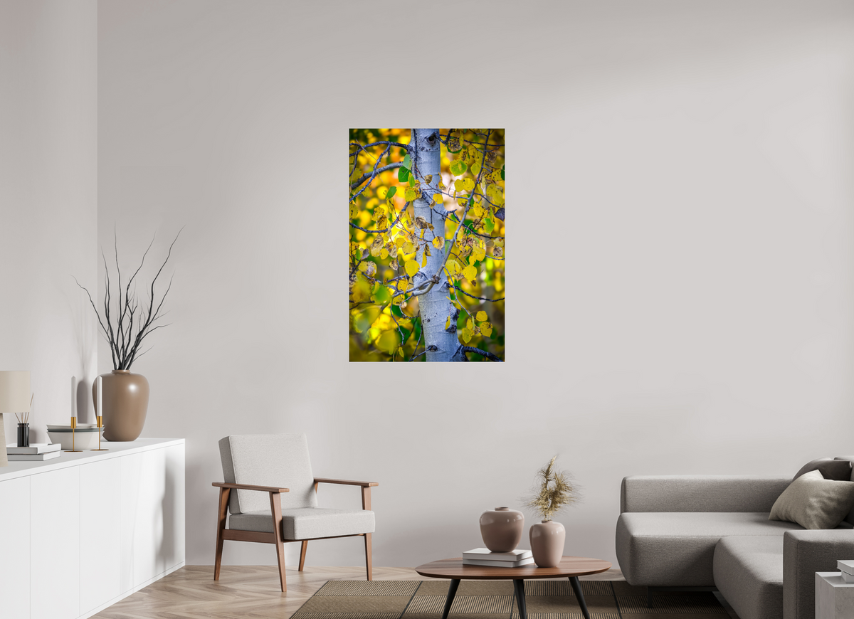30 x 45″, Photo Print On Fuji Crystal DP II Aspen in Gold