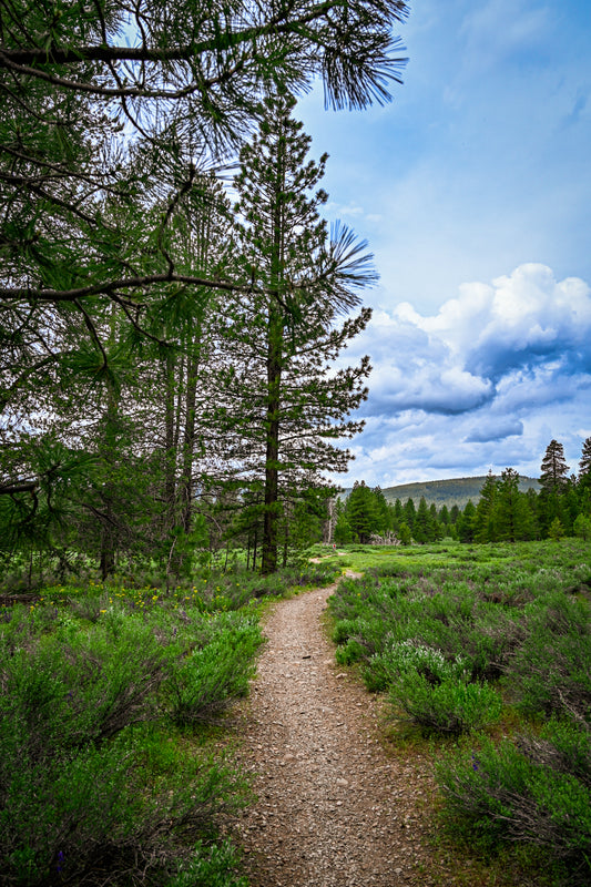 The Benefits of Hiking for Health