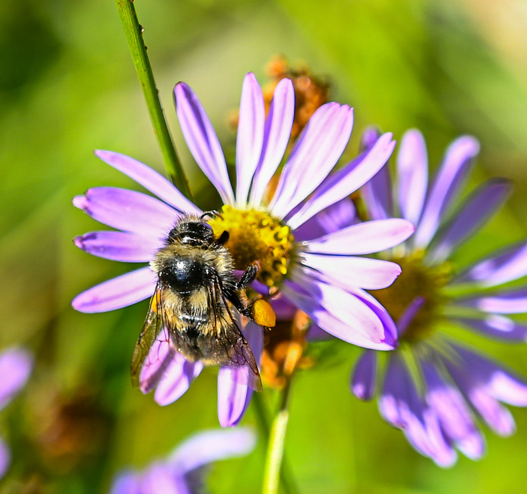 Spring into the outdoors this season