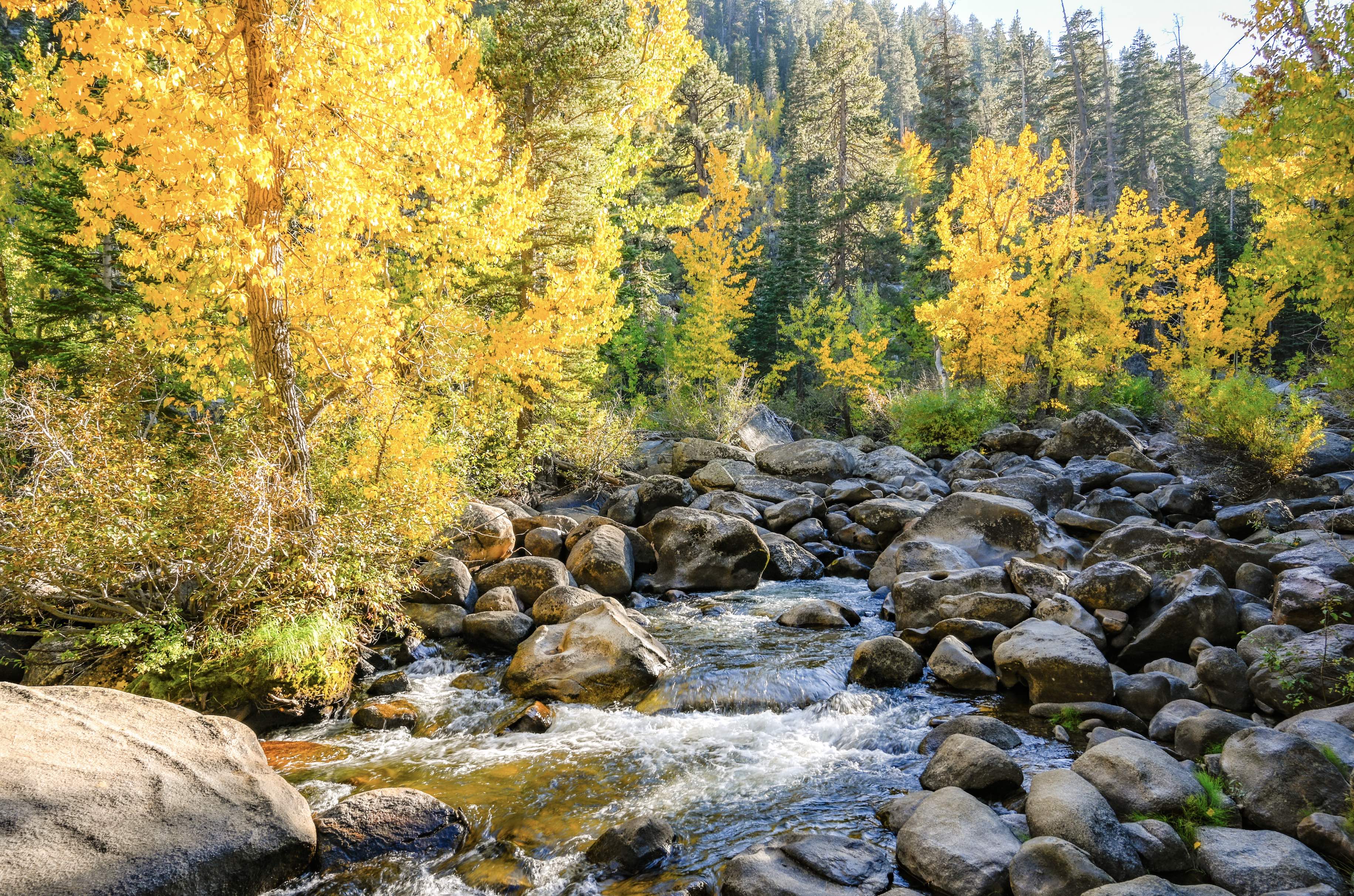 Fall health and wellness tips