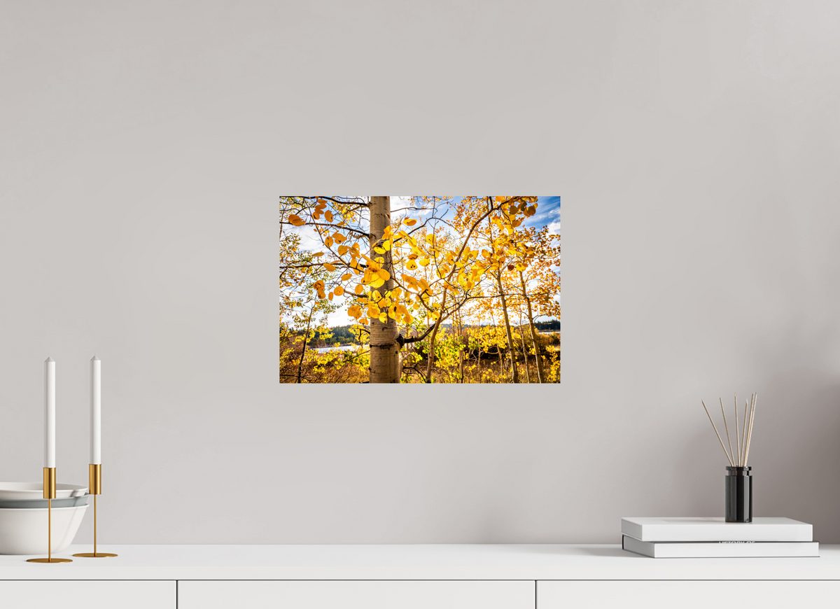 15 x 10″, Photo Print On Fuji Crystal DP II Golden Canopy