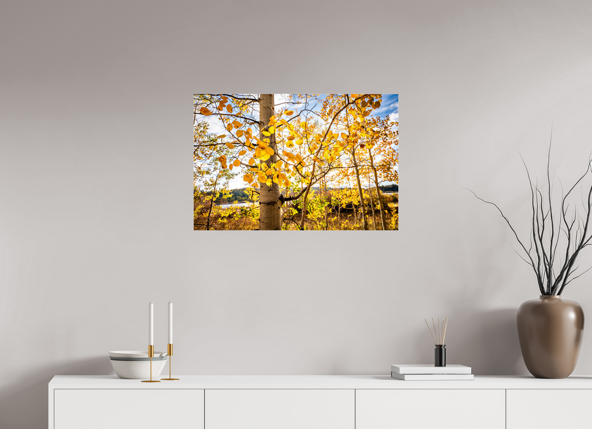30 x 20″, Photo Print Under Acrylic Glass Golden Canopy