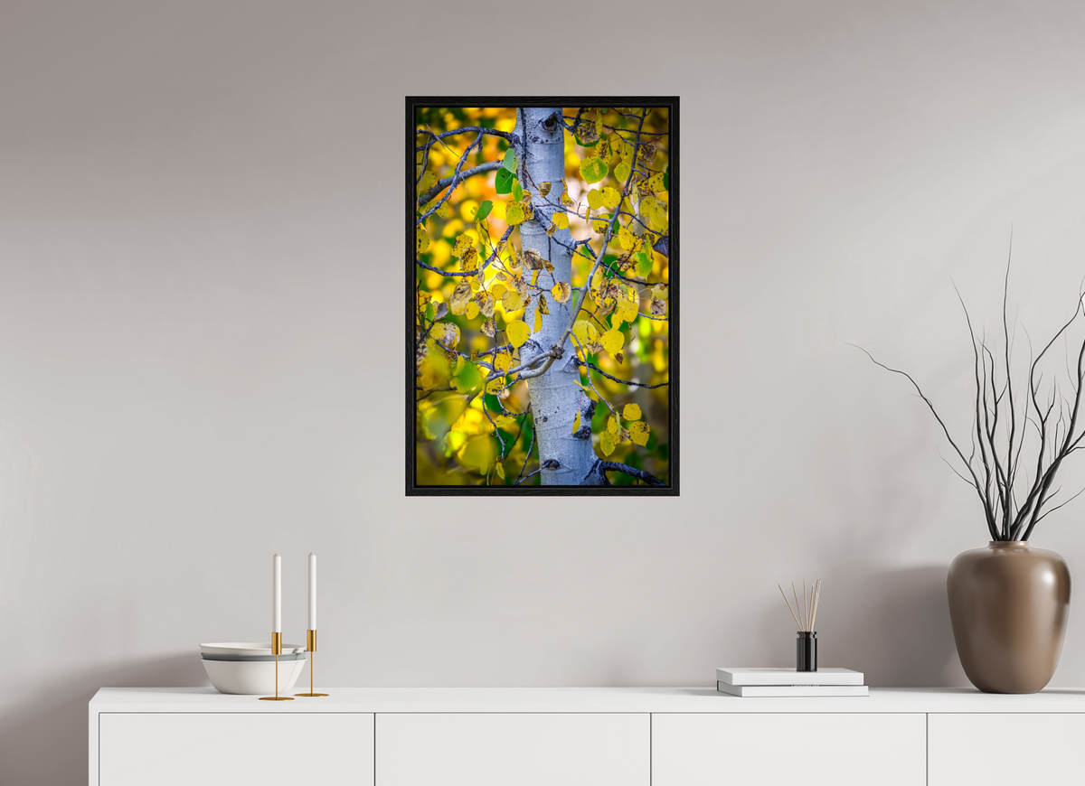 20 x 30″, Floater Frame Aspen in Gold