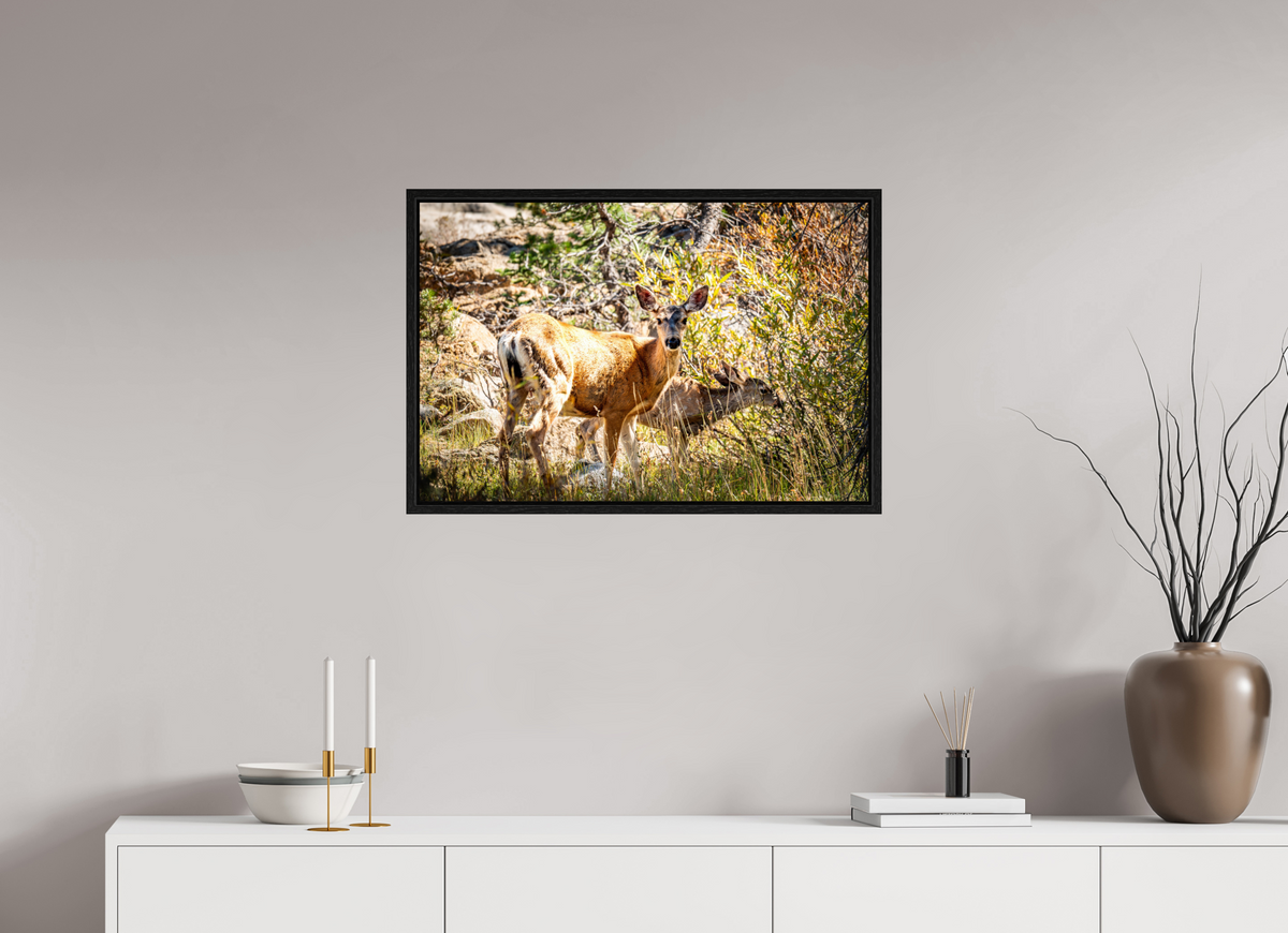 30 x 20″, Floater Frame Quiet Companions