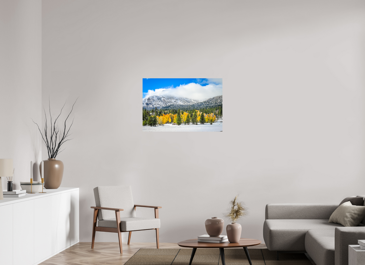 36 x 24″, Photo Print On Fuji Crystal DP II Between Seasons