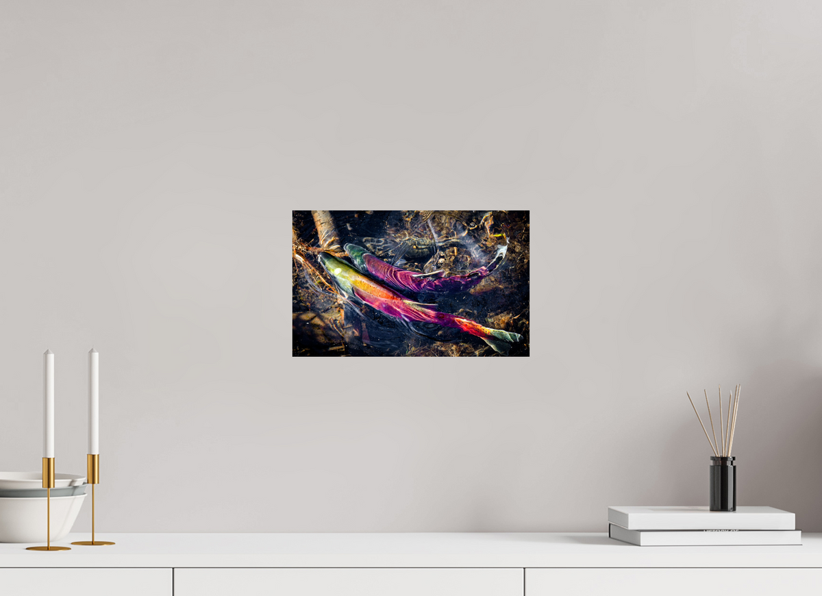 13 x 8″, Photo Print On Fuji Crystal DP II Kokanee Run at Taylor Creek