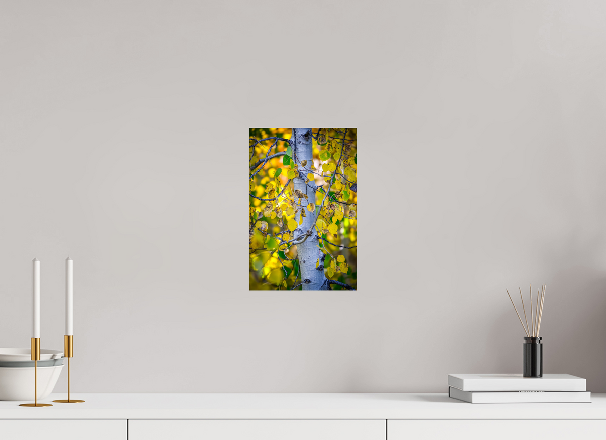 8 x 12″, Photo Print On Fuji Crystal DP II Aspen in Gold
