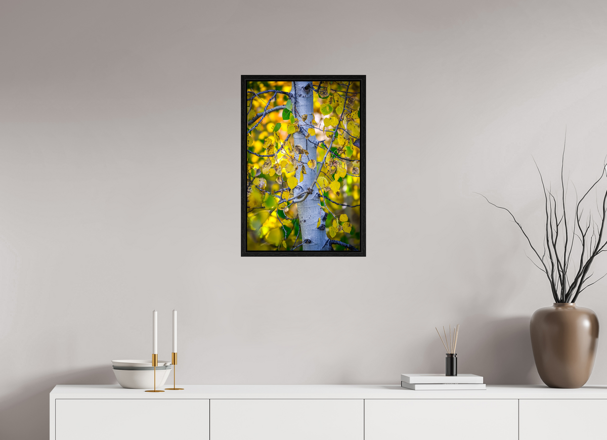 16 x 24″, Floater Frame Aspen in Gold
