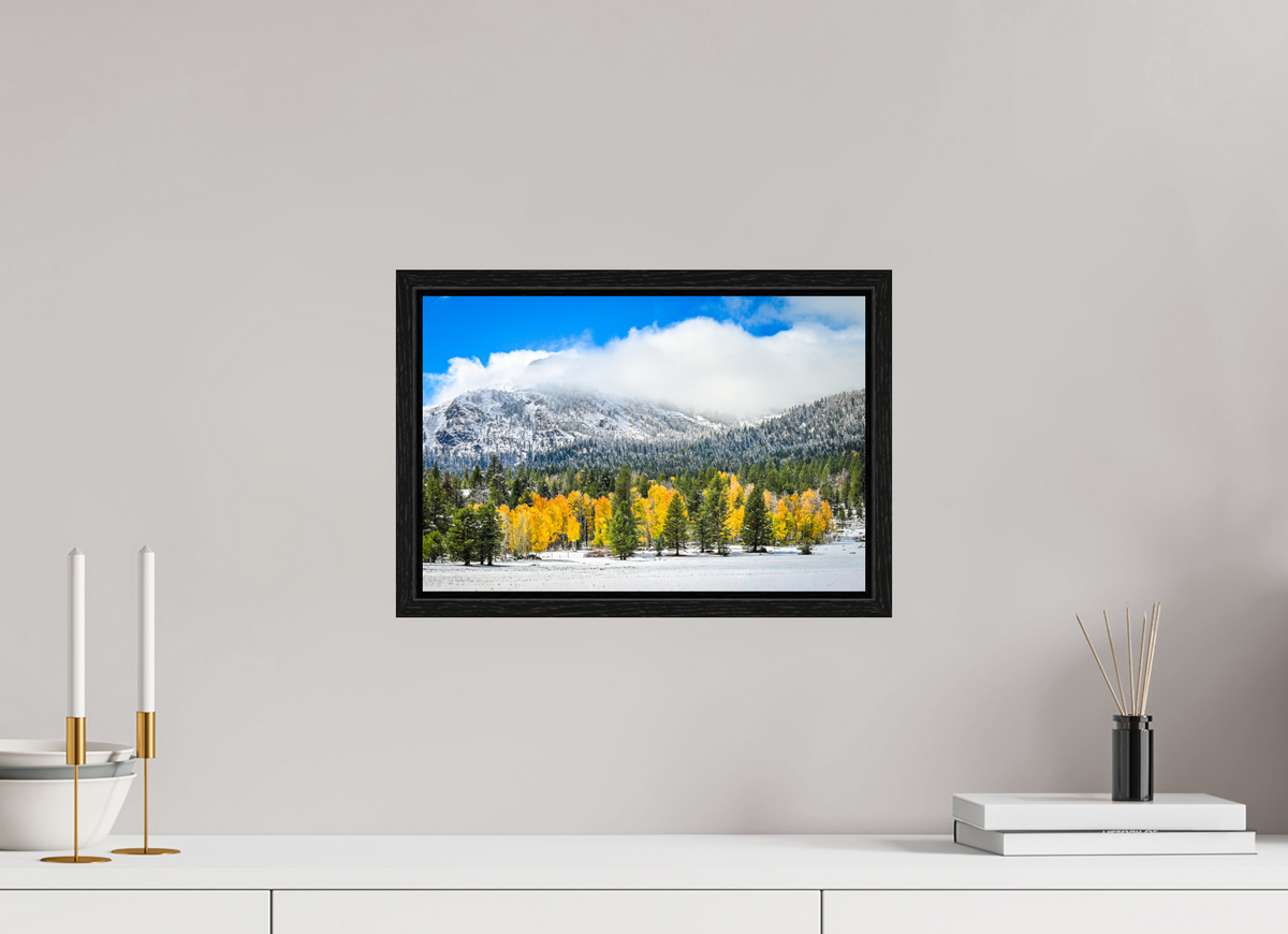 15 x 10″, Floater Frame Between Seasons