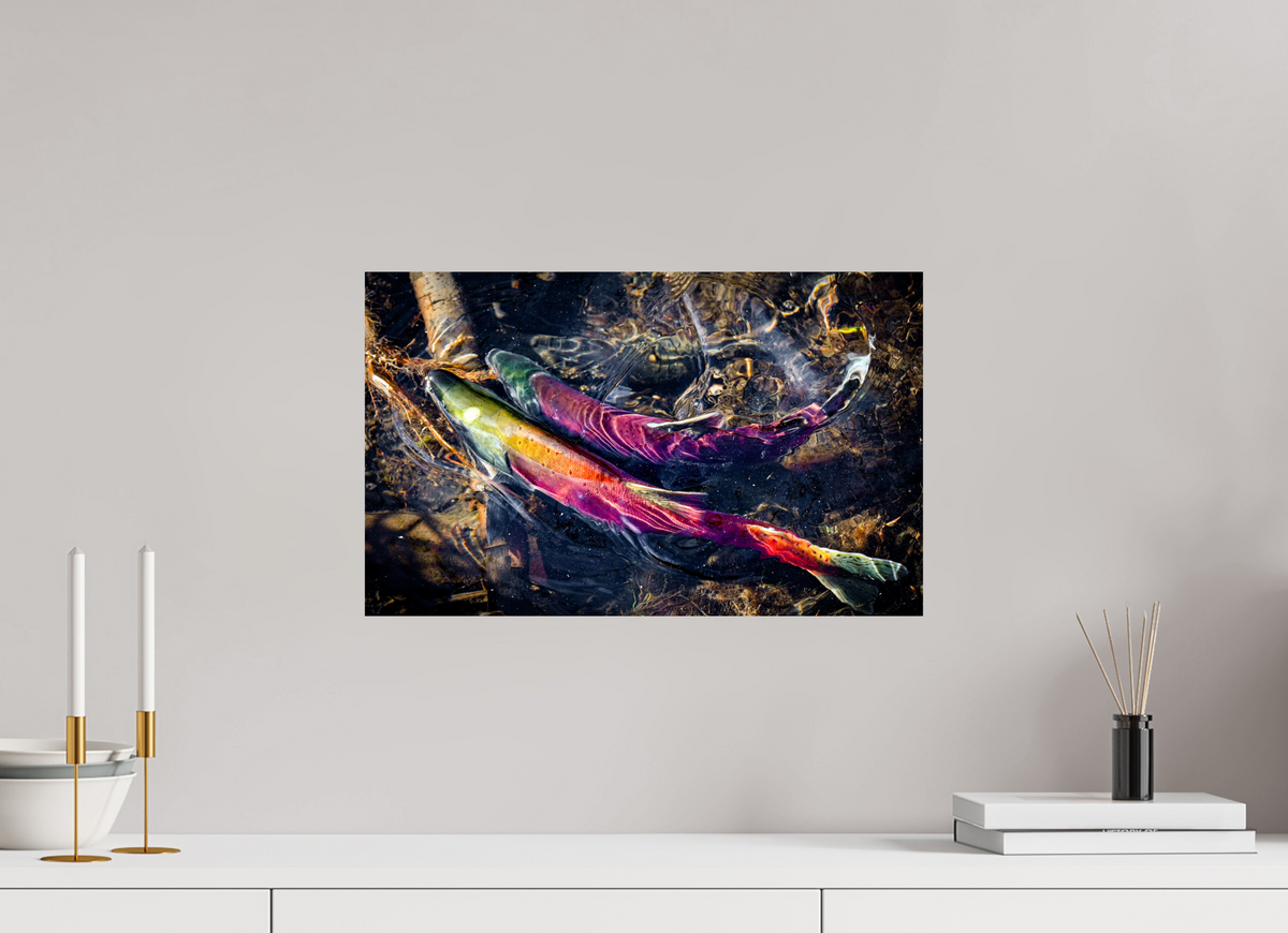 19.4 x 12″, Photo Print On Fuji Crystal DP II Kokanee Run at Taylor Creek