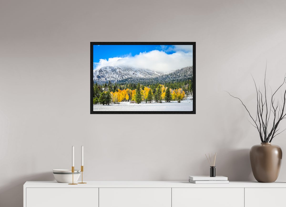 30 x 20″, Floater Frame Between Seasons