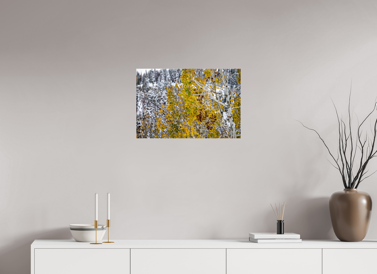 24 x 16″, Photo Print Under Acrylic Glass Snow on Gold