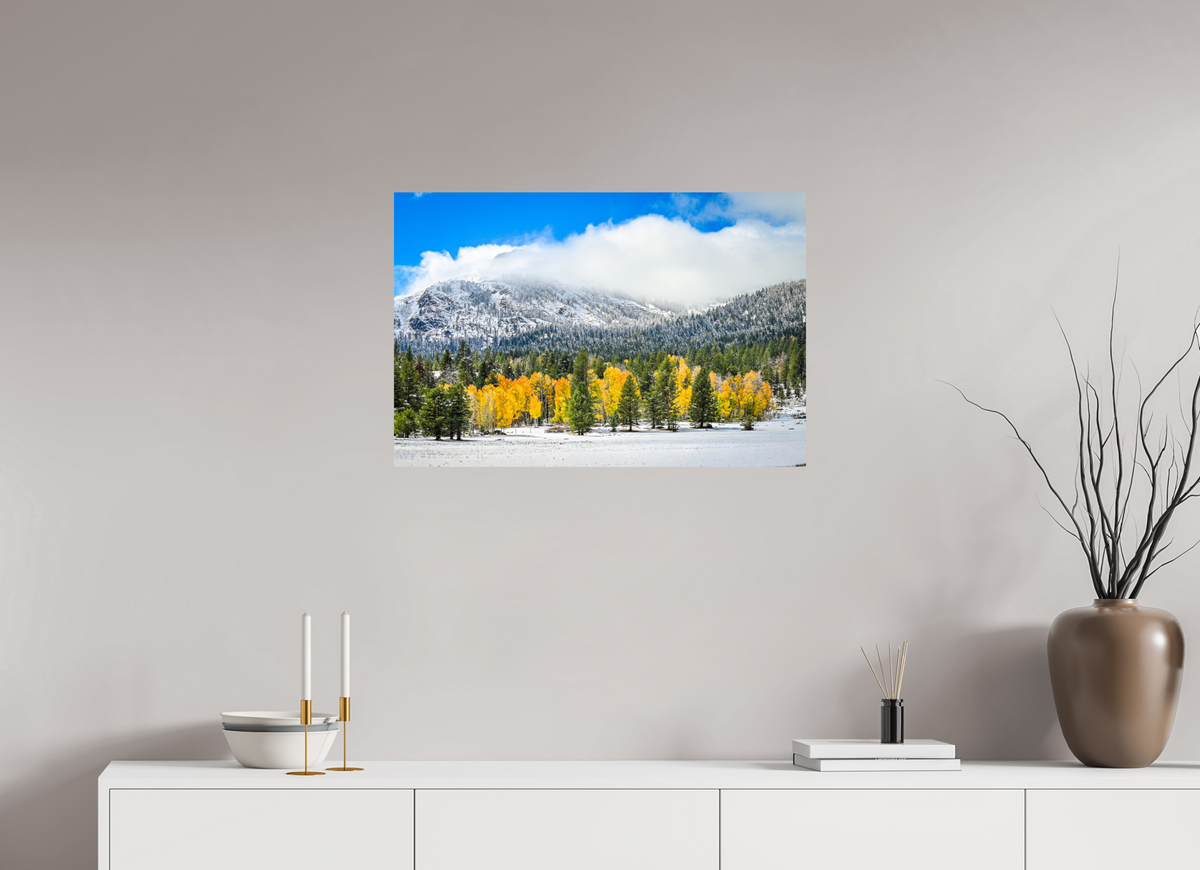 30 x 20″, Photo Print On Fuji Crystal DP II Between Seasons