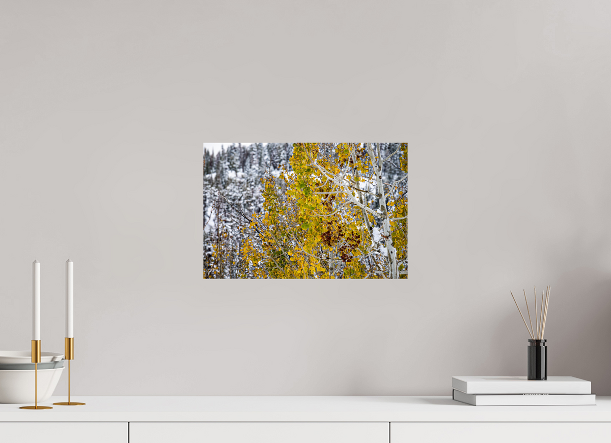 15 x 10″, Photo Print On Fuji Crystal DP II Snow on Gold