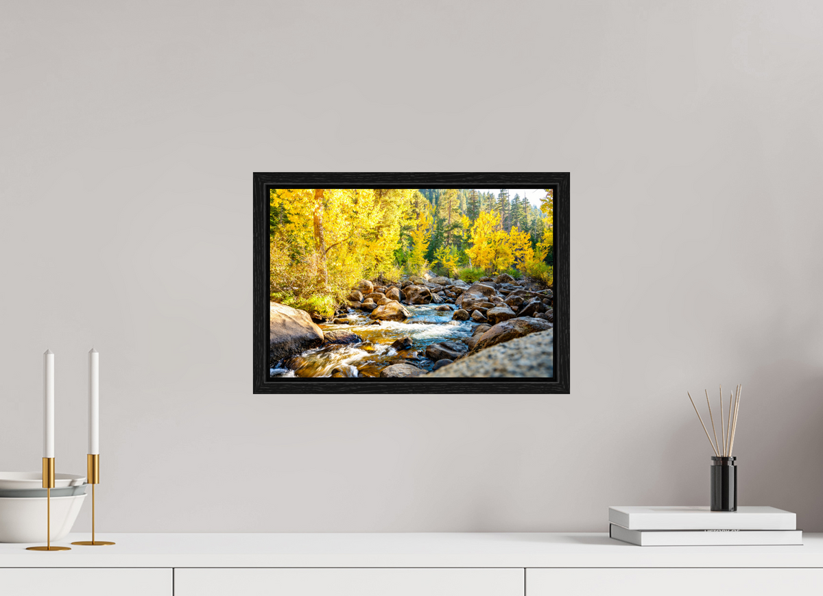 15 x 10″, Floater Frame Golden Current