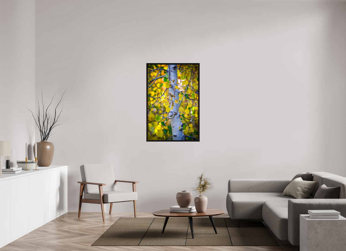 30 x 45″, Floater Frame Aspen in Gold