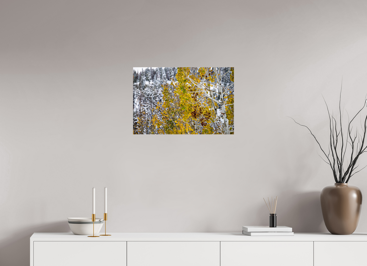 24 x 16″, Photo Print On Fuji Crystal DP II Snow on Gold