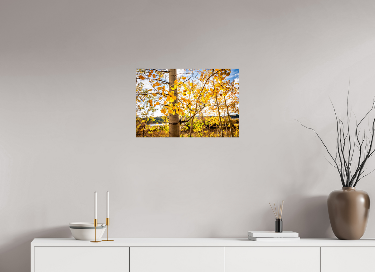 24 x 16″, Photo Print On Fuji Crystal DP II Golden Canopy