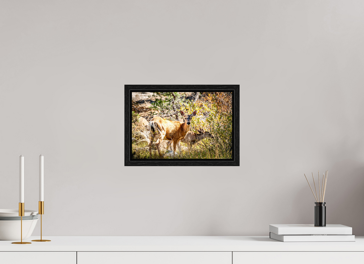 12 x 8″, Floater Frame Quiet Companions
