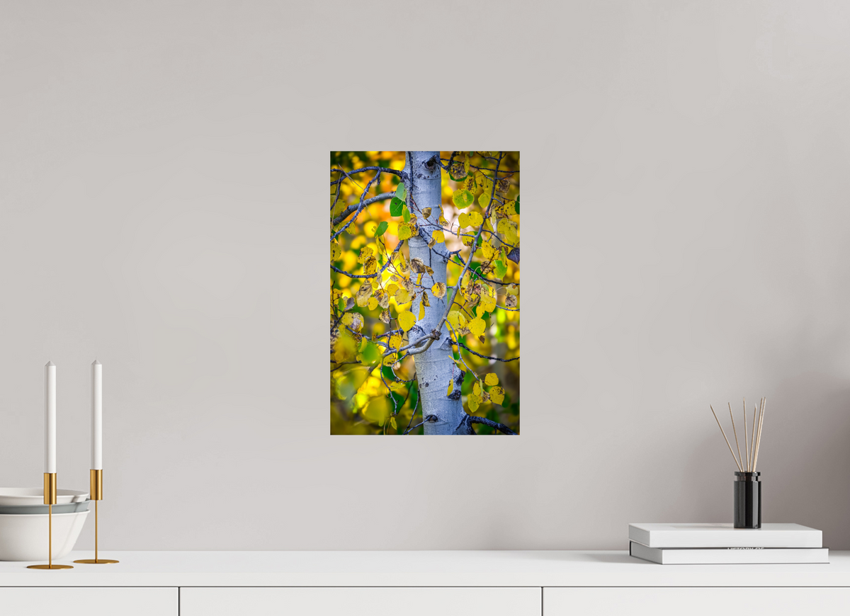10 x 15″, Photo Print On Fuji Crystal DP II Aspen in Gold