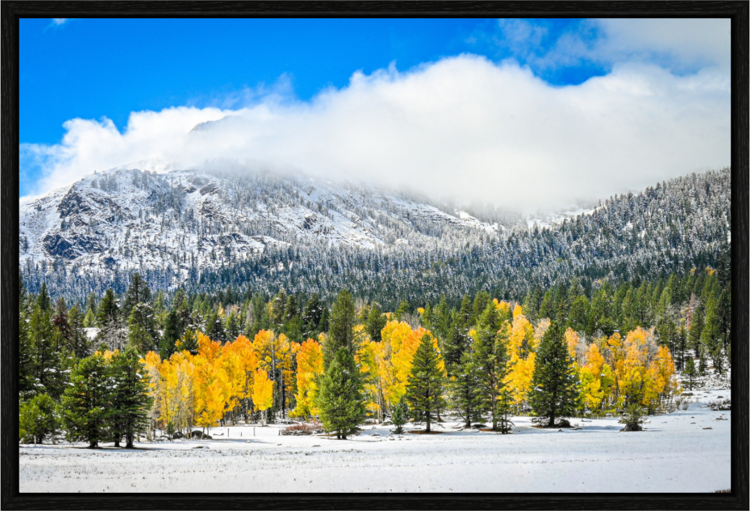 Main image Between Seasons