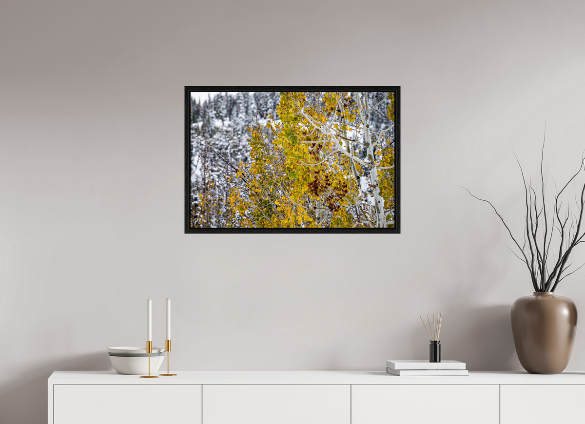30 x 20″, Floater Frame Snow on Gold