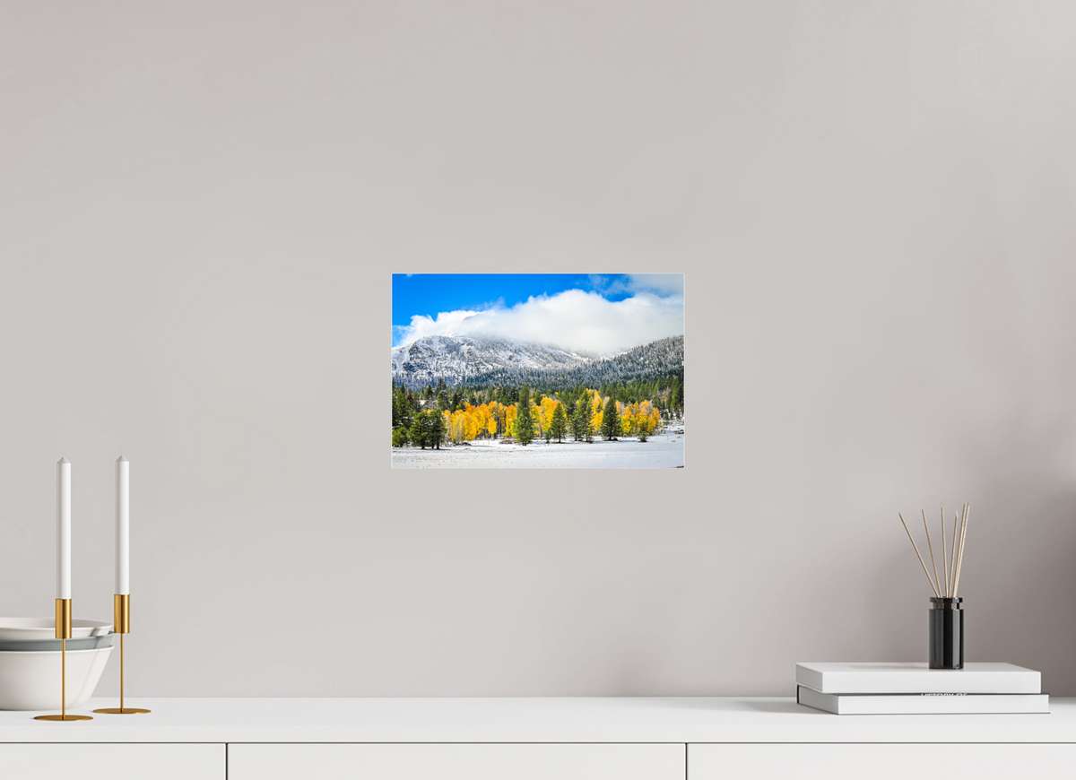 12 x 8″, Photo Print Under Acrylic Glass Between Seasons