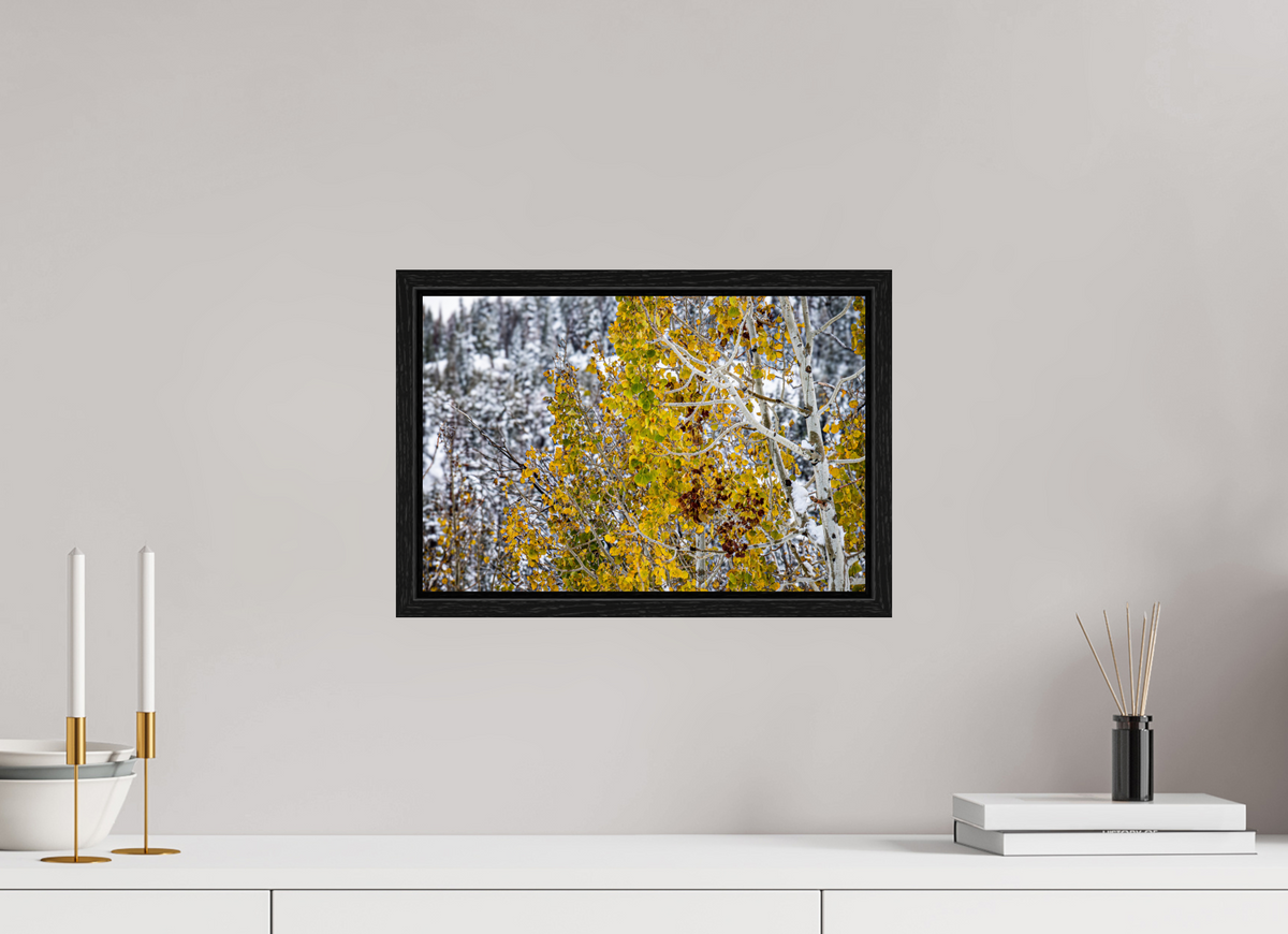 15 x 10″, Floater Frame Snow on Gold