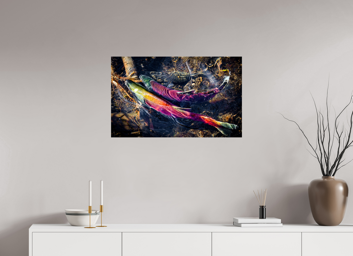 32.4 x 20″, Photo Print On Fuji Crystal DP II Kokanee Run at Taylor Creek