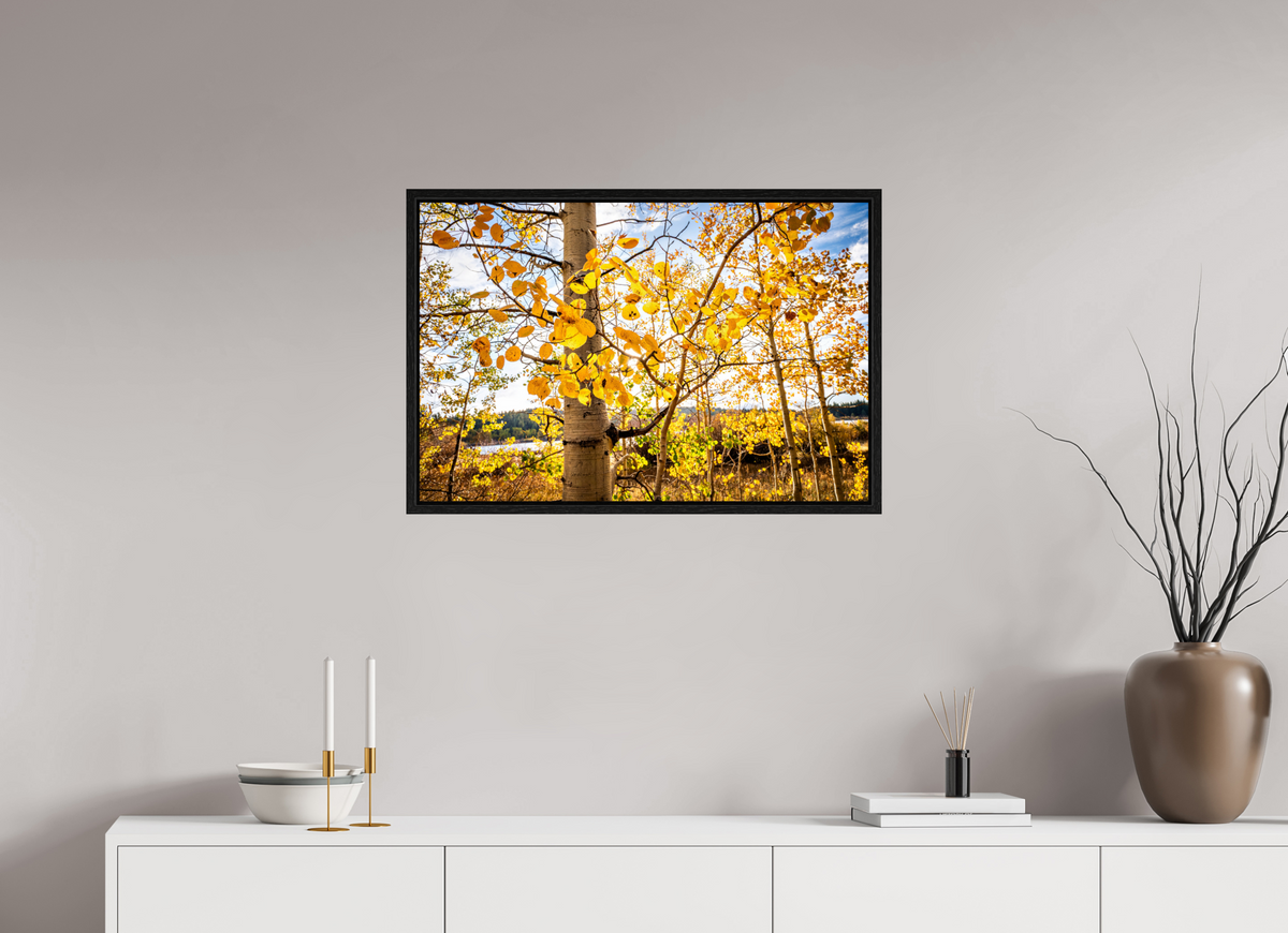 30 x 20″, Floater Frame Golden Canopy