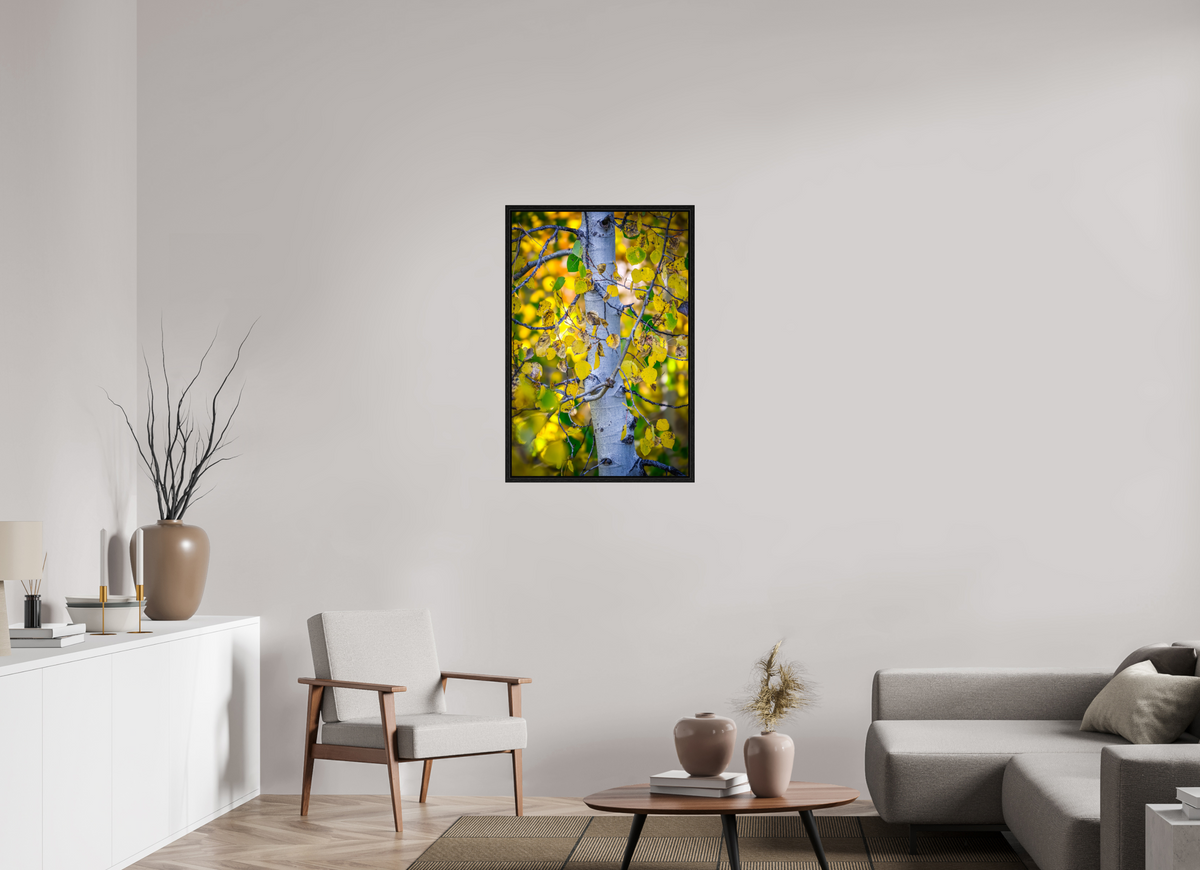 24 x 36″, Floater Frame Aspen in Gold
