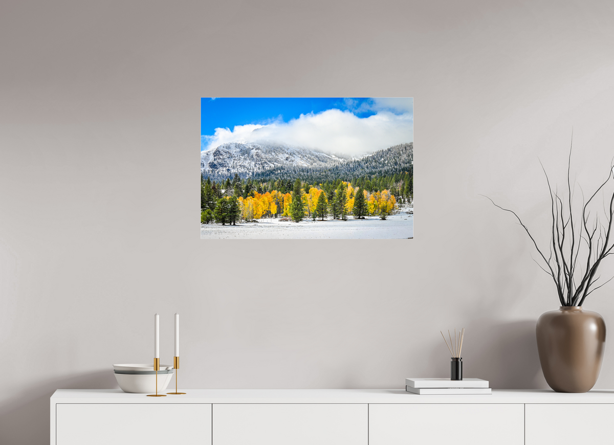 30 x 20″, Photo Print Under Acrylic Glass Between Seasons