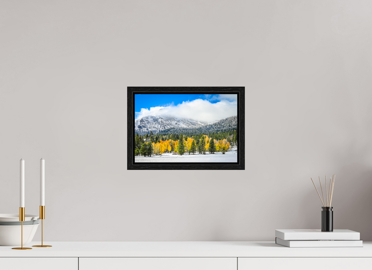 12 x 8″, Floater Frame Between Seasons