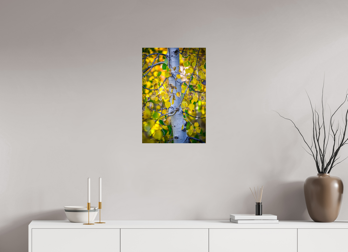 16 x 24″, Photo Print On Fuji Crystal DP II Aspen in Gold