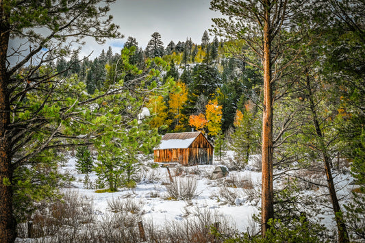 First Snow at the Cabin