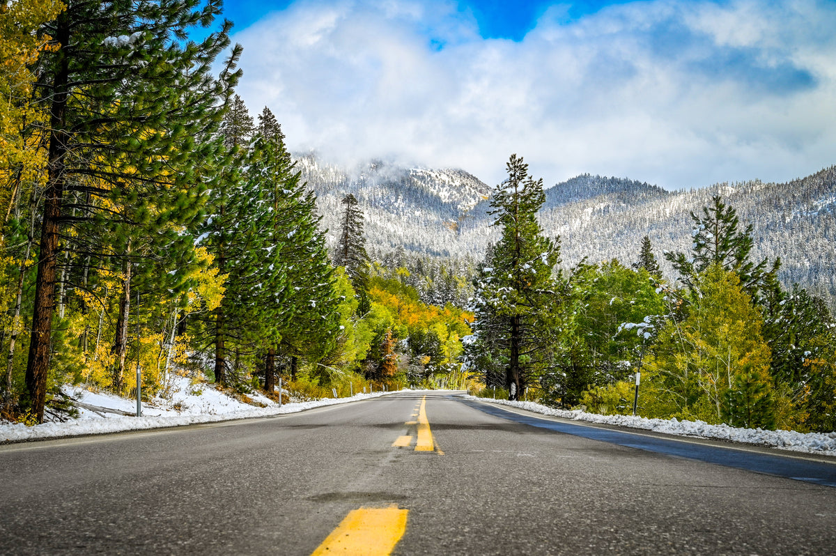 Fine art photograph of a mountain road through snow-dusted pine trees, golden autumn foliage, and cloudy Tahoe mountains.