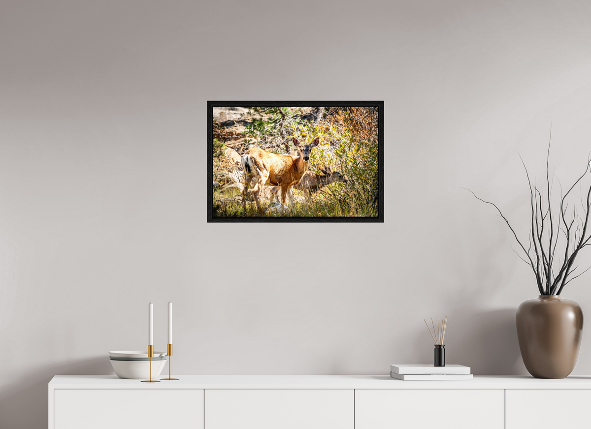 24 x 16″, Floater Frame Quiet Companions