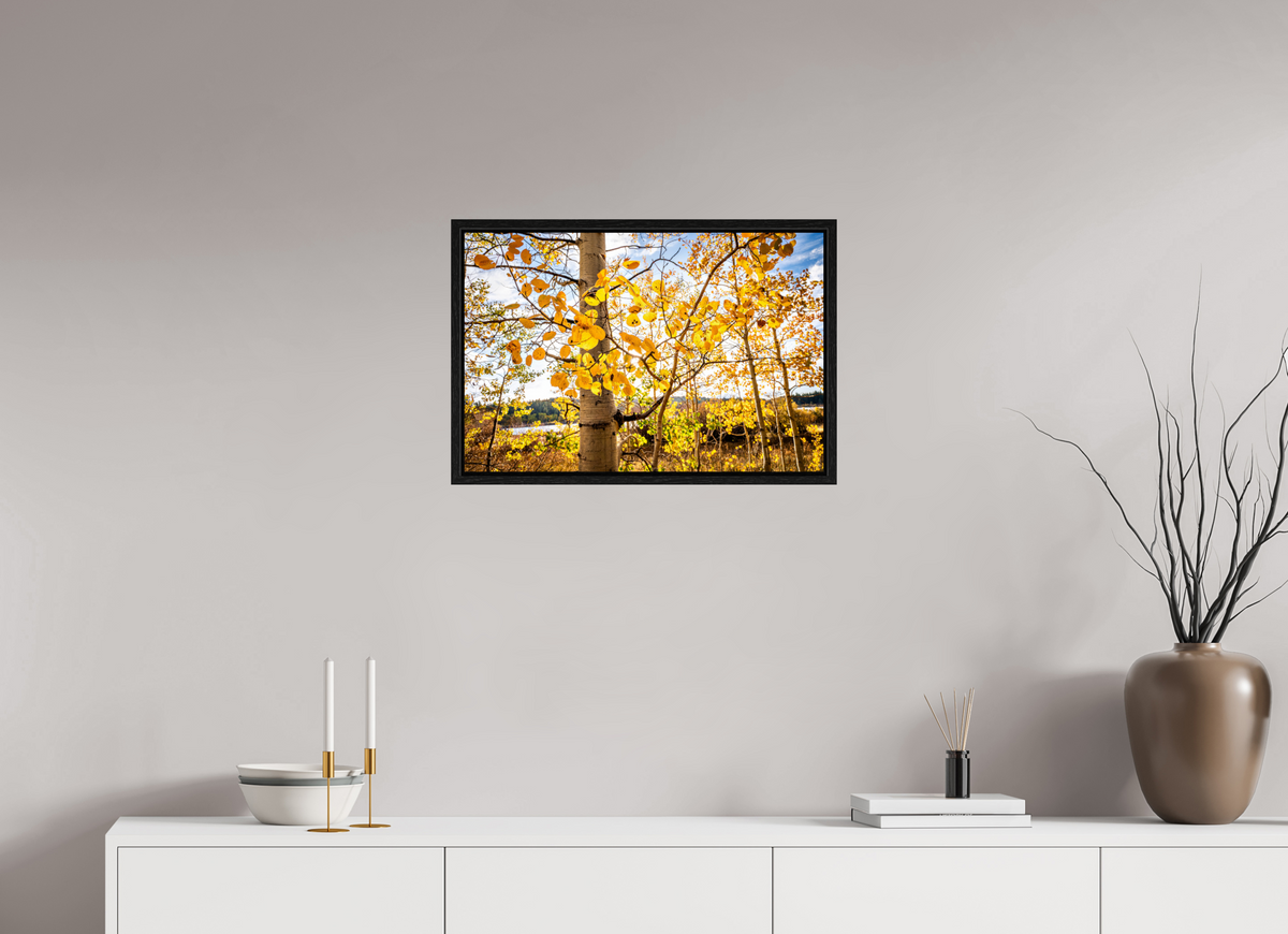 24 x 16″, Floater Frame Golden Canopy