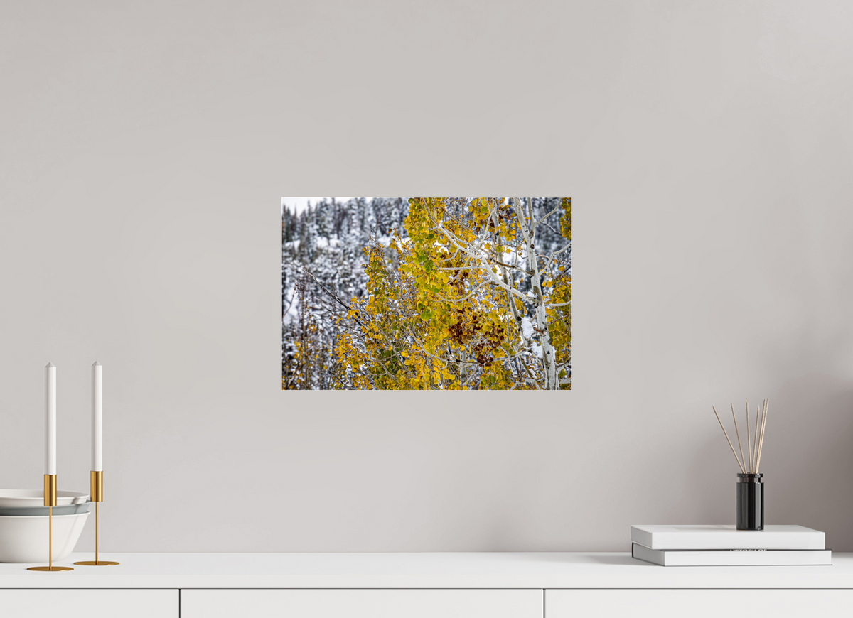 15 x 10″, Photo Print Under Acrylic Glass Snow on Gold