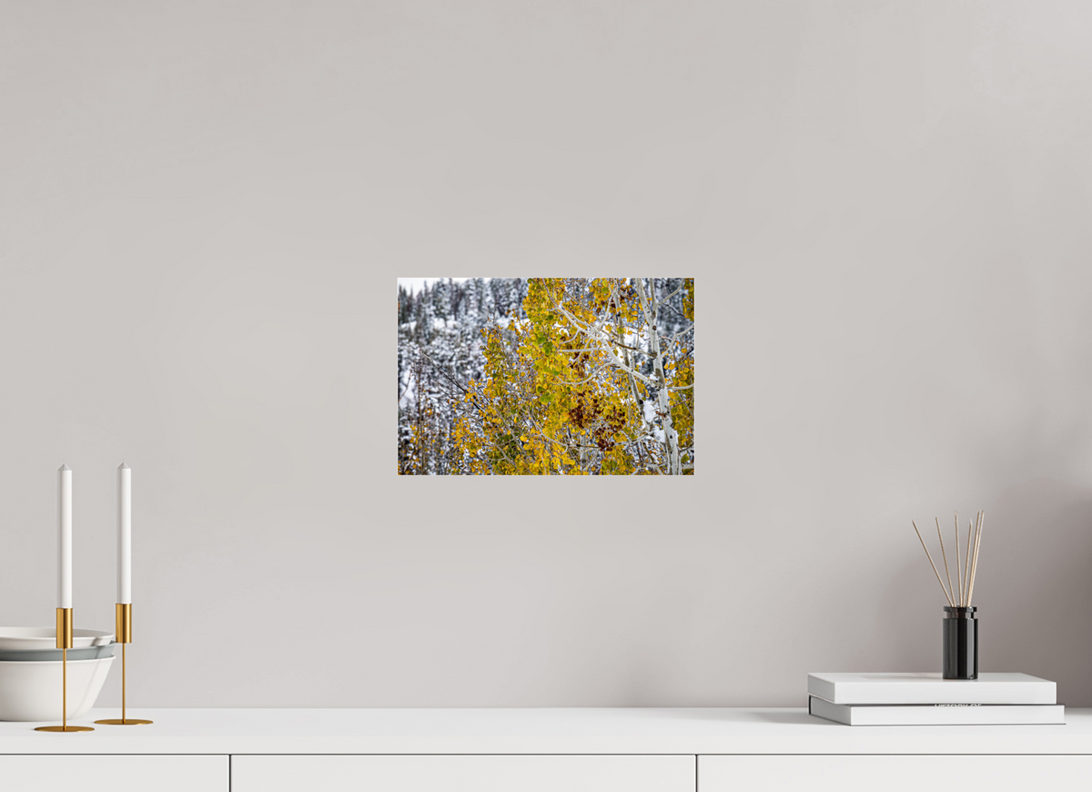 12 x 8″, Photo Print Under Acrylic Glass Snow on Gold