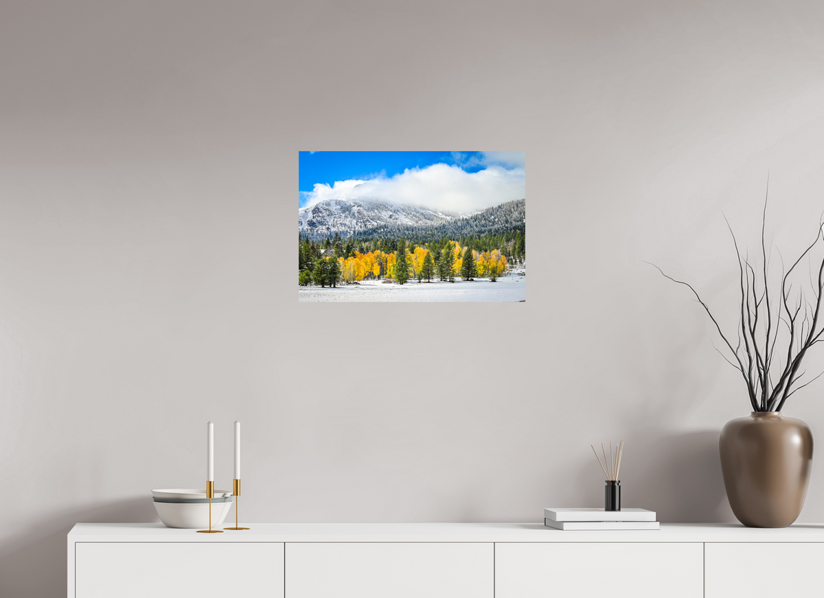 24 x 16″, Photo Print On Fuji Crystal DP II Between Seasons