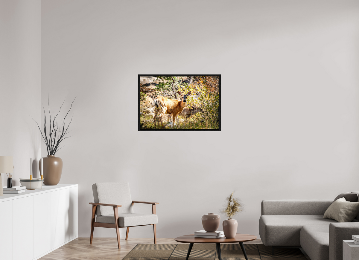 36 x 24″, Floater Frame Quiet Companions