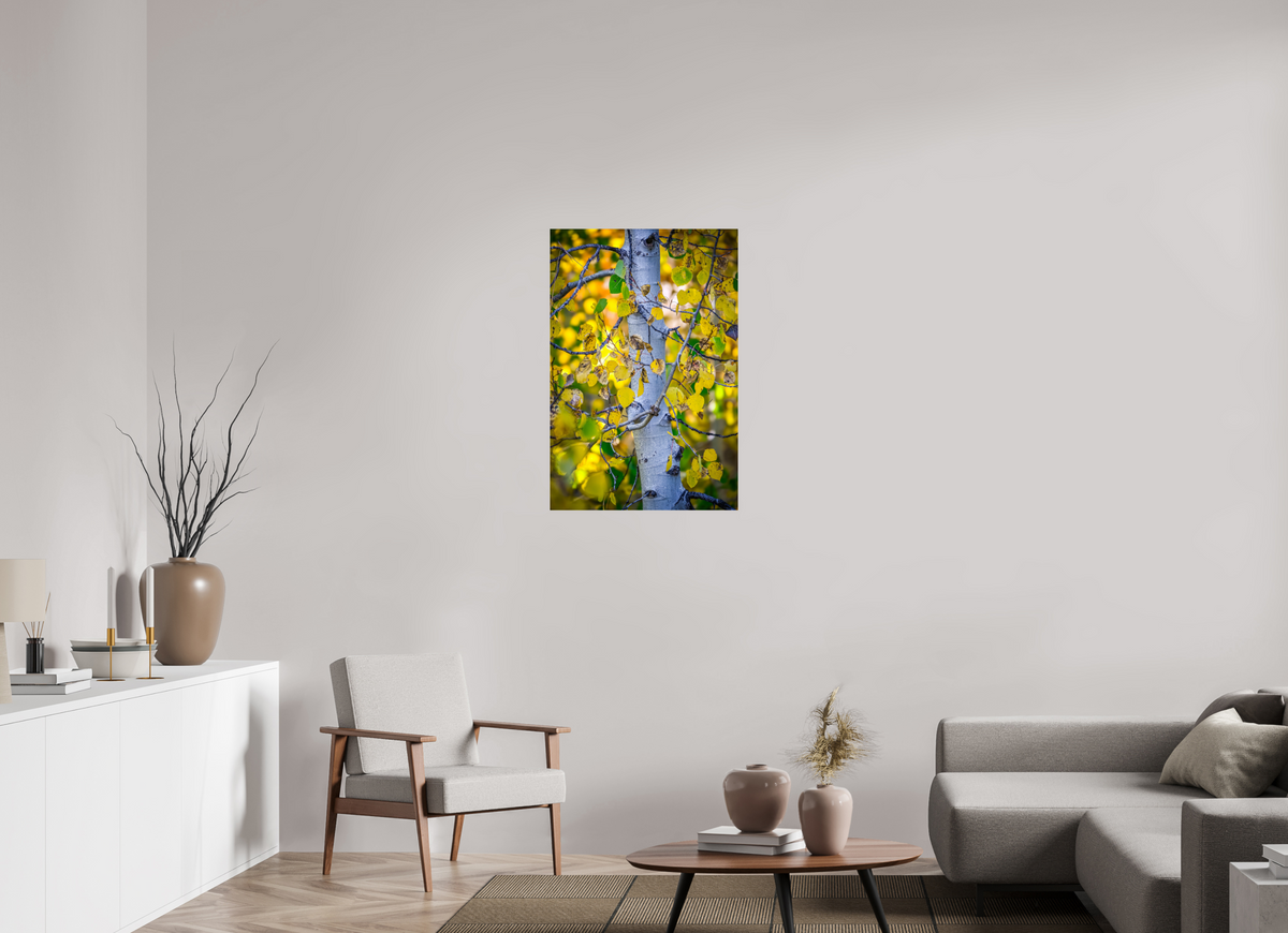 24 x 36″, Photo Print On Fuji Crystal DP II Aspen in Gold