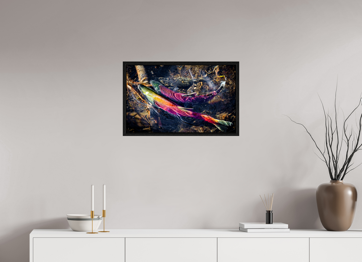 25.9 x 16″, Floater Frame Kokanee Run at Taylor Creek