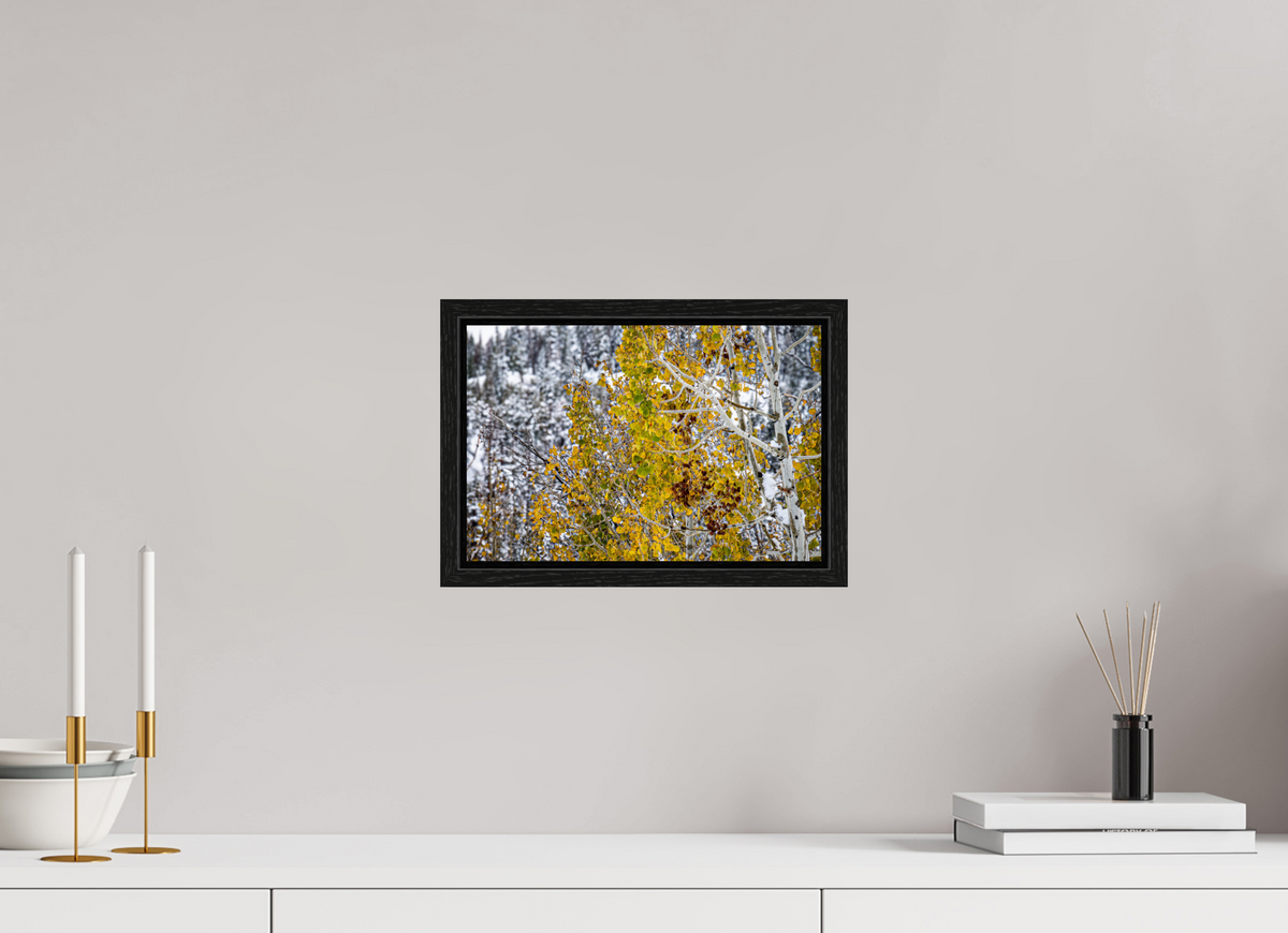 12 x 8″, Floater Frame Snow on Gold