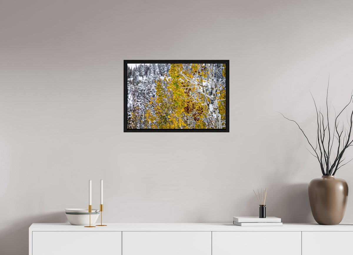 24 x 16″, Floater Frame Snow on Gold