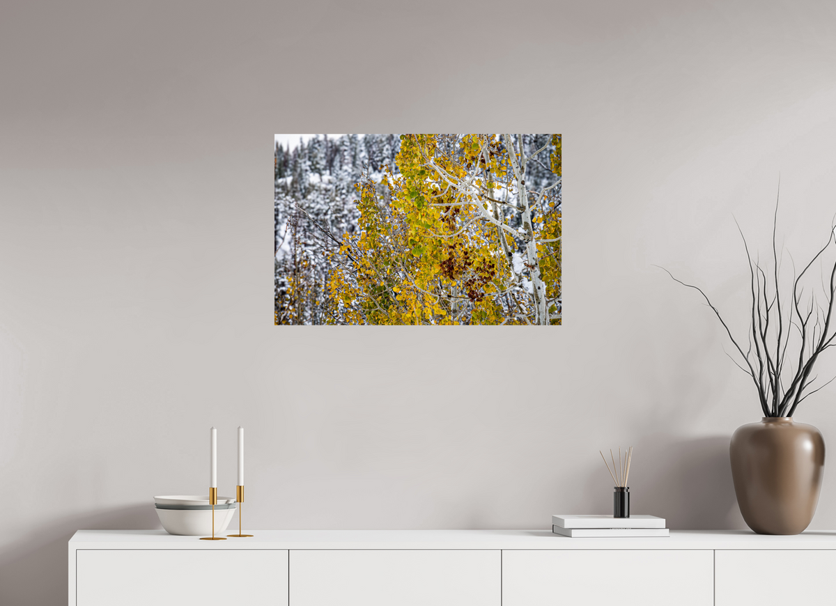 30 x 20″, Photo Print On Fuji Crystal DP II Snow on Gold